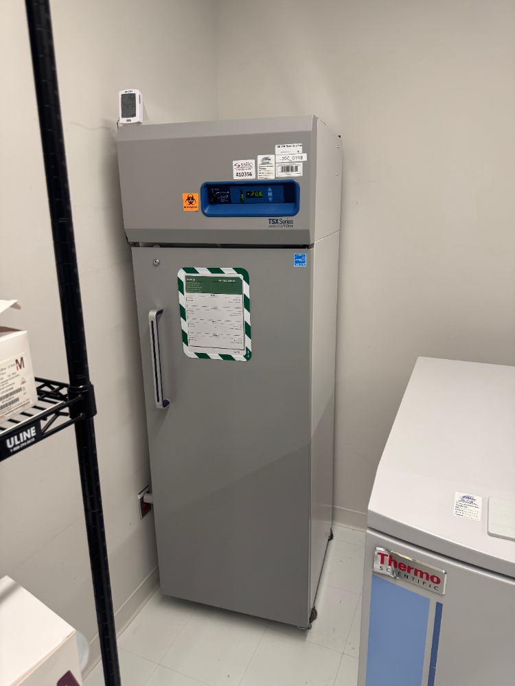 Image of Thermo TSX Series -20C Freezer